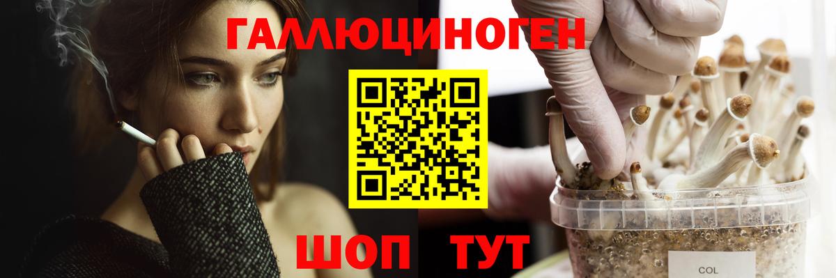 Галлюциногенные грибы Psilocybine cubensis  Вход с VPN  наркота  Сергиев Посад 